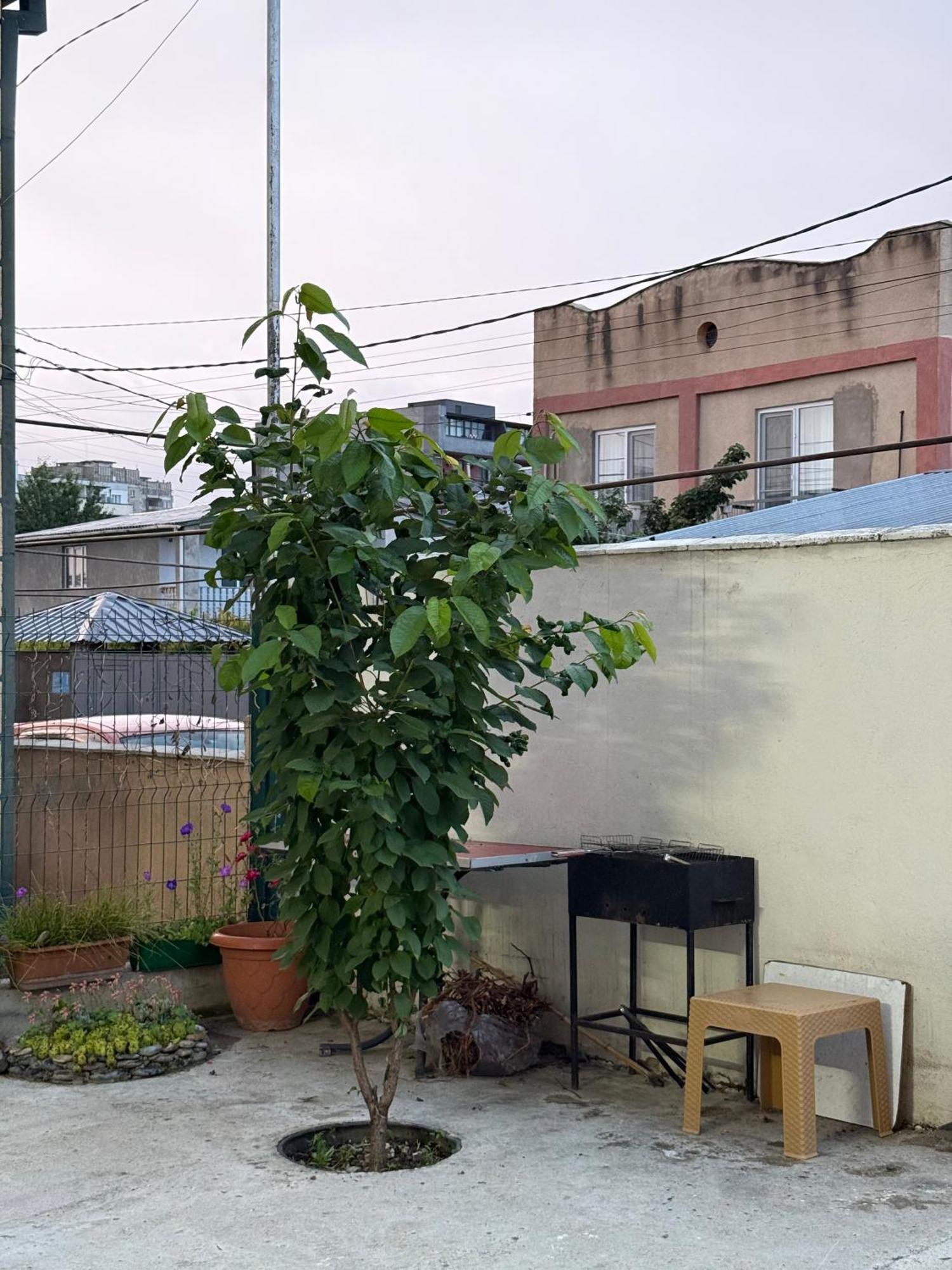 Cozy House Tbilisi